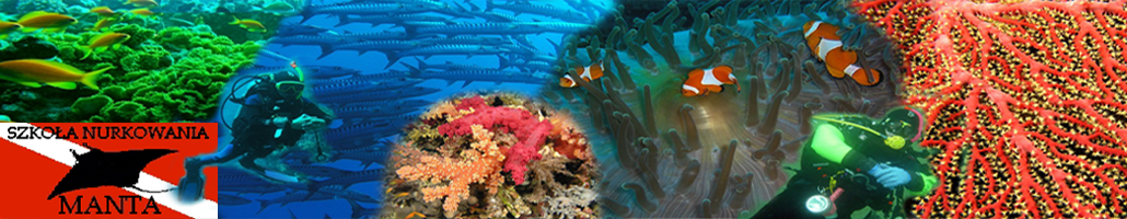 MANTA - szkoła nurkowania